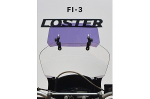 FI/3