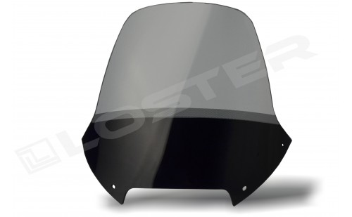 Szyba motocyklowa BMW F 650 GS STANDARD